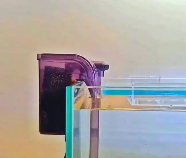 Betta Fish Tank Setup with Images – Step by Step 3 tank having filter on one side