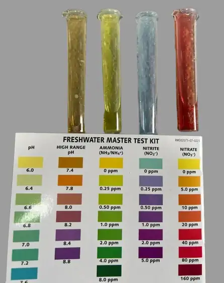 Best Water for Betta Fish 1 API freshwater master test kit