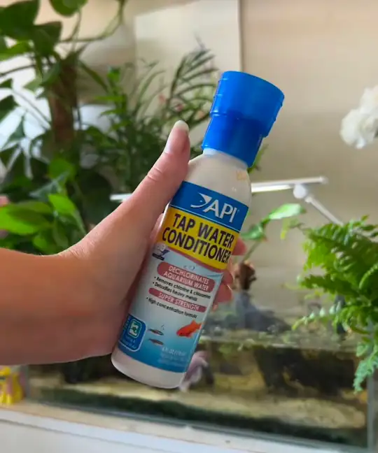 Best Water for Betta Fish 2 API tap water conditioner