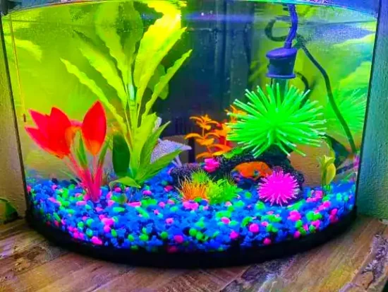 1 gallon betta tank 1-gallon betta fish tank with complete setup