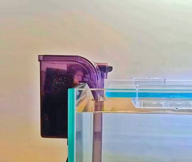 Fitted filter on the one side of betta tank