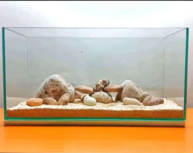 A betta tank with a substrate of Bali sand and river stones.