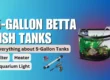 5-gallon betta fish tank with heater and filter