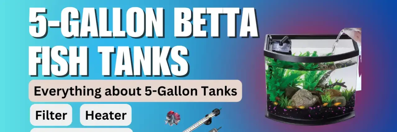 5-gallon betta fish tank with heater and filter
