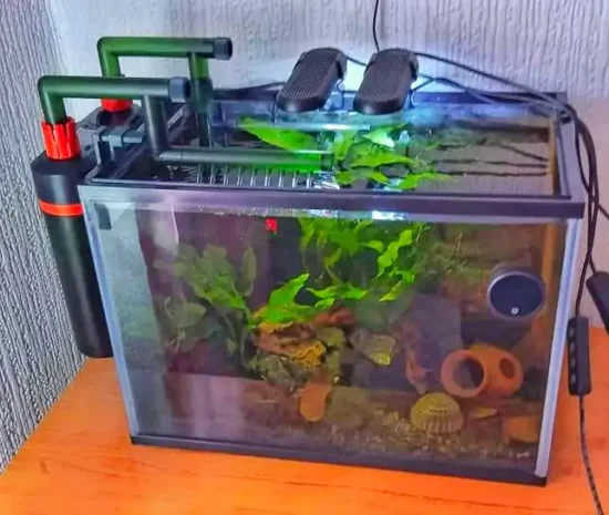 Canister filter on side of the betta tank