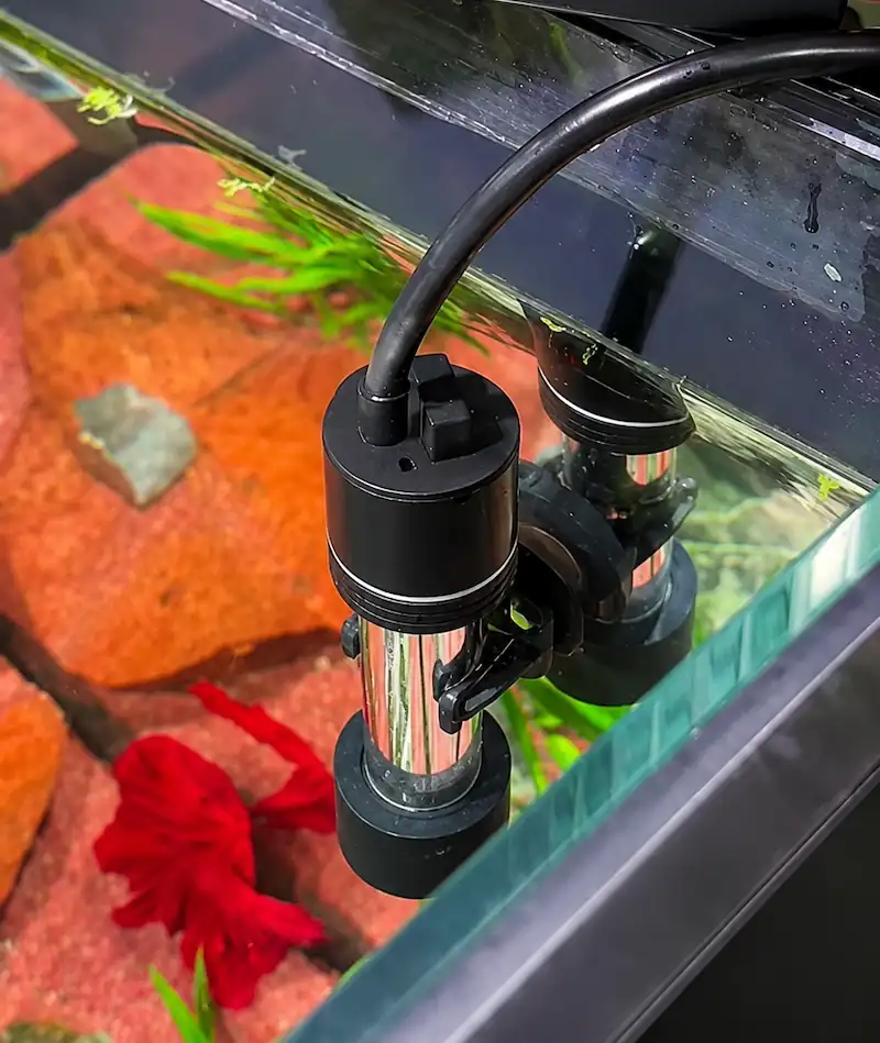 Black aquarium heater installed in a betta fish tank with red substrate, aquatic plants and a red betta fish