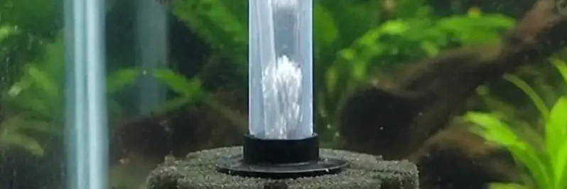 betta fish filter hang-on sponge filter in my betta tank