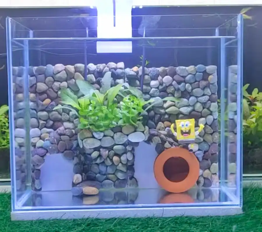 3-gallon betta fish tank with aquatic plants, smooth river stones and a small ceramic cave decoration