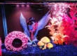 3 gallon betta fish tank