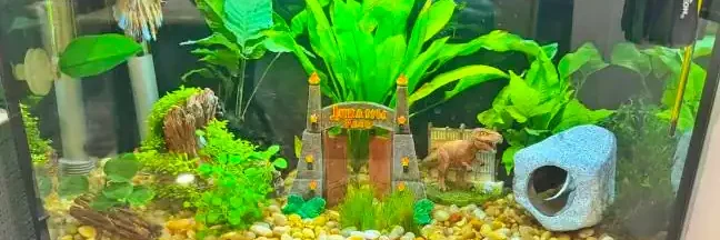 betta fish tank self cleaning betta fish tank