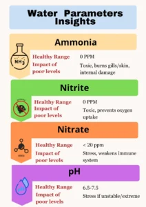 water quality parameters infographics