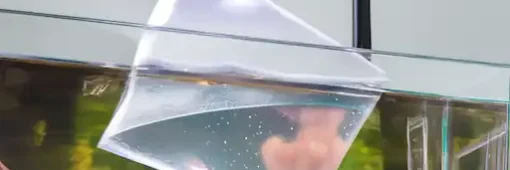 floating method of betta fish acclimation acclimating betta fish via floating method