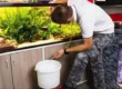 a person adding water in his betta tank after using betta water conditioner