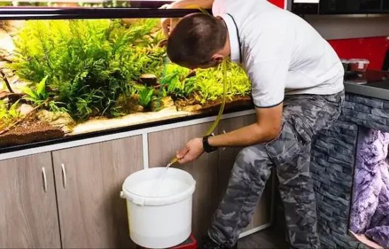 a person adding water in his betta tank after using betta water conditioner