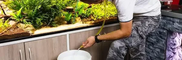 a person adding water in his betta tank after using betta water conditioner