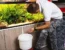 a person adding water in his betta tank after using betta water conditioner
