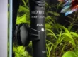 Betta fish swimming near a submersible aquarium heater in a planted tank