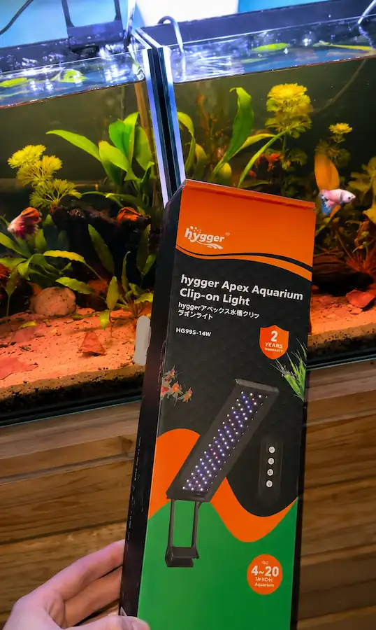 hygger betta fish light illuminating a planted aquarium
