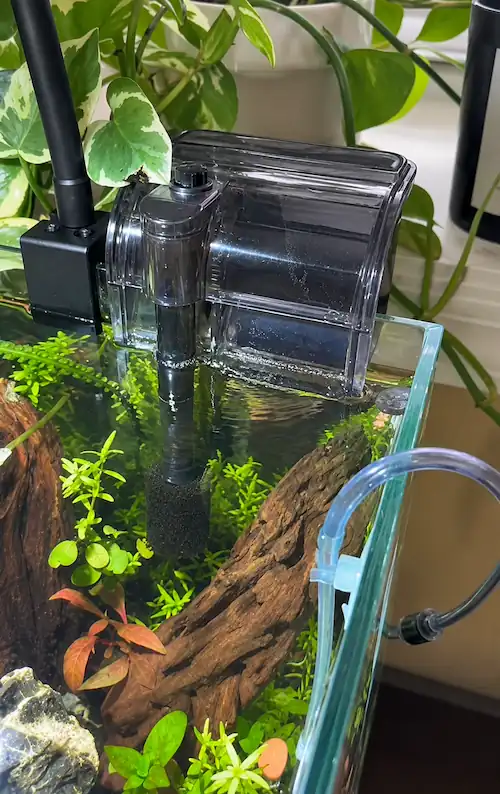 HOB betta tank filter