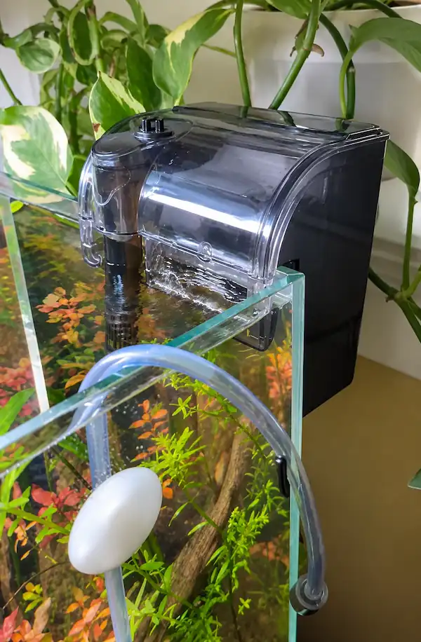 AZOO Mignon 150 hang-on-back filter installed on a planted betta fish aquarium with clear water, live plants, and gentle filtration flow.