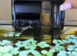 Low-flow aquarium filter installed in a planted betta fish tank with floating plants, gentle water movement, and visible sponge filtration media.