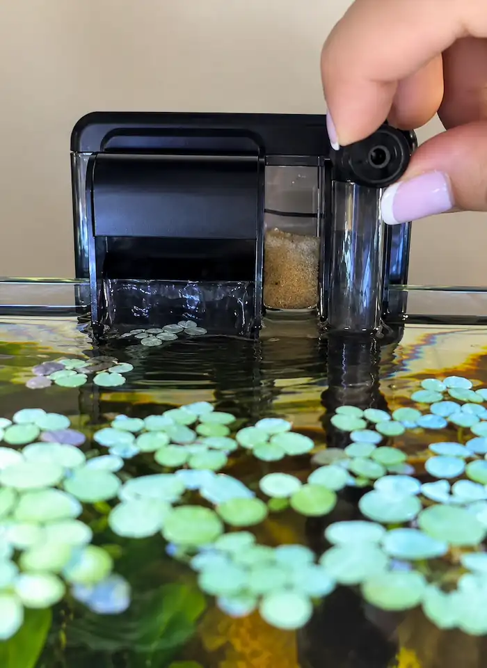 Low-flow aquarium filter installed in a planted betta fish tank with floating plants, gentle water movement, and visible sponge filtration media.