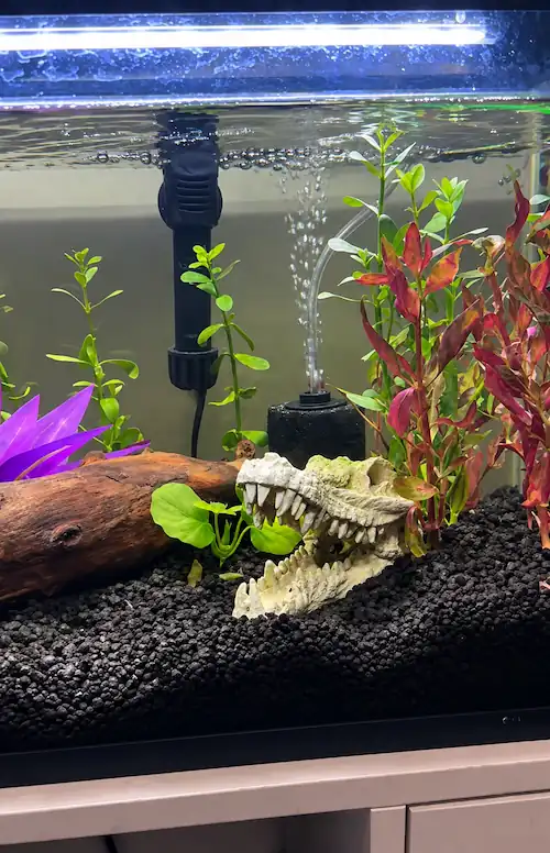 Aquarium sponge filter running in a planted freshwater tank with dark gravel, driftwood, colorful aquatic plants, and a skull decoration